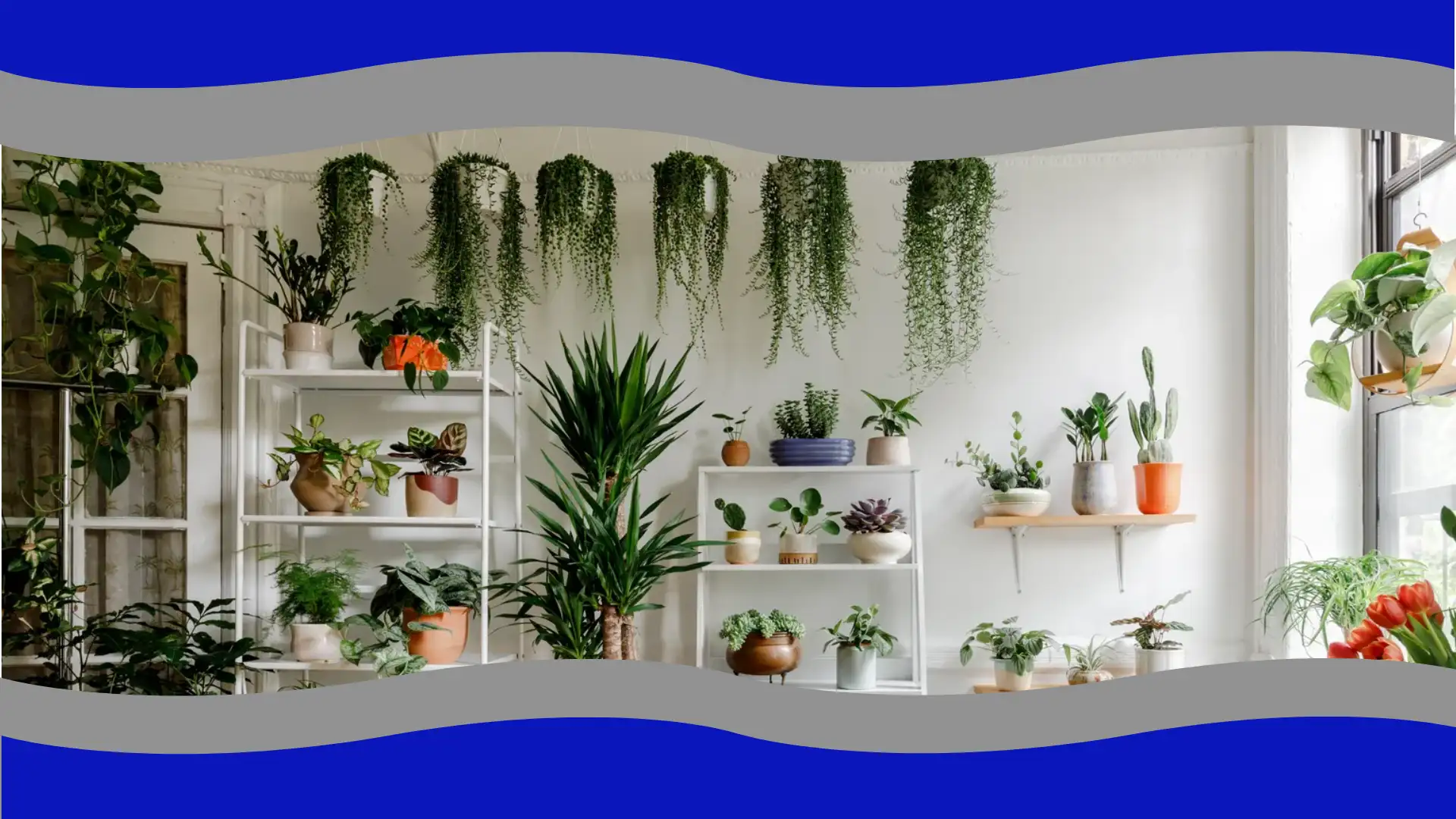 Indoor